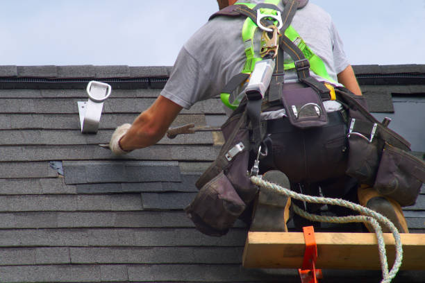 Best Gutter Installation and Roofing  in Walnut Grove, GA