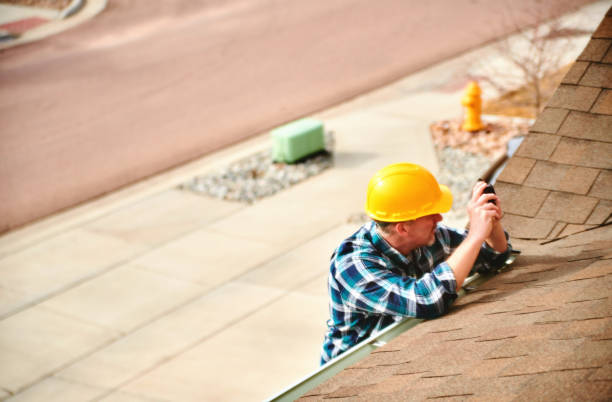 Best Roof Gutter Cleaning  in Walnut Grove, GA
